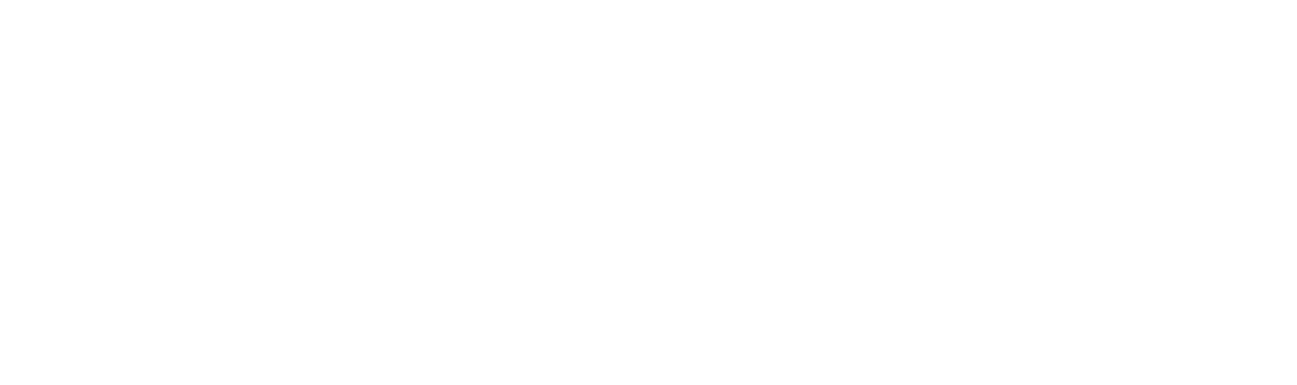 CHIPS-logo_RGB_white-colour